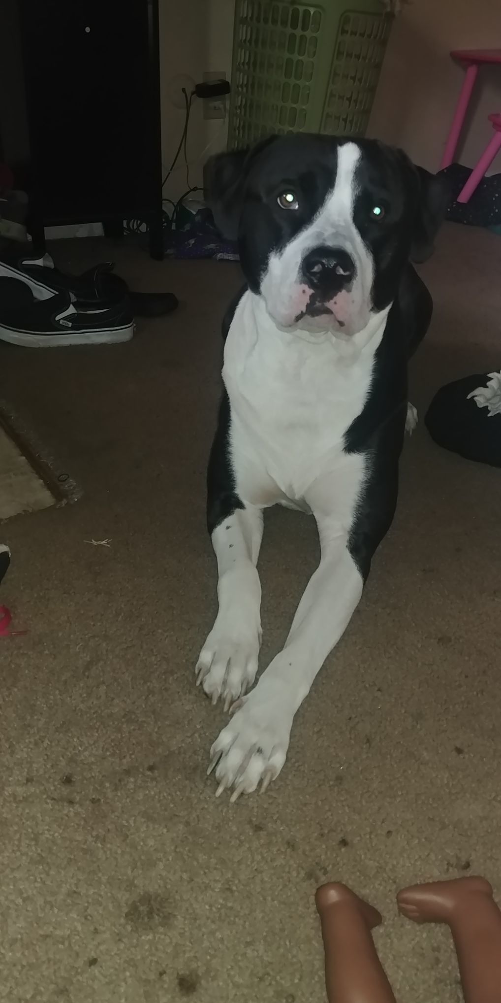 Gunner
